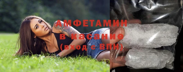 сатива Алзамай