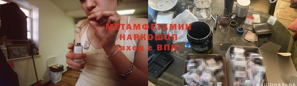 сатива Алзамай