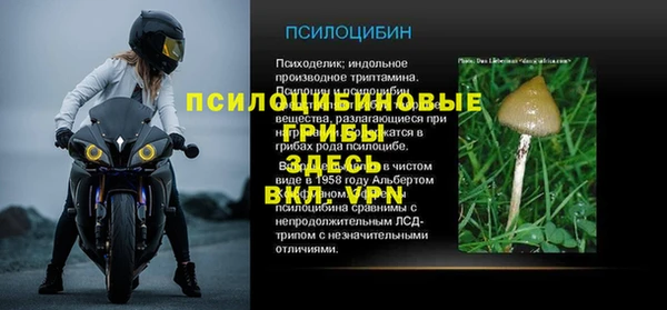 сатива Алзамай