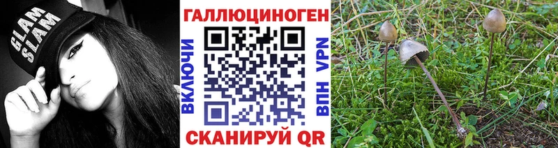 Псилоцибиновые грибы MAGIC MUSHROOMS  Златоуст 